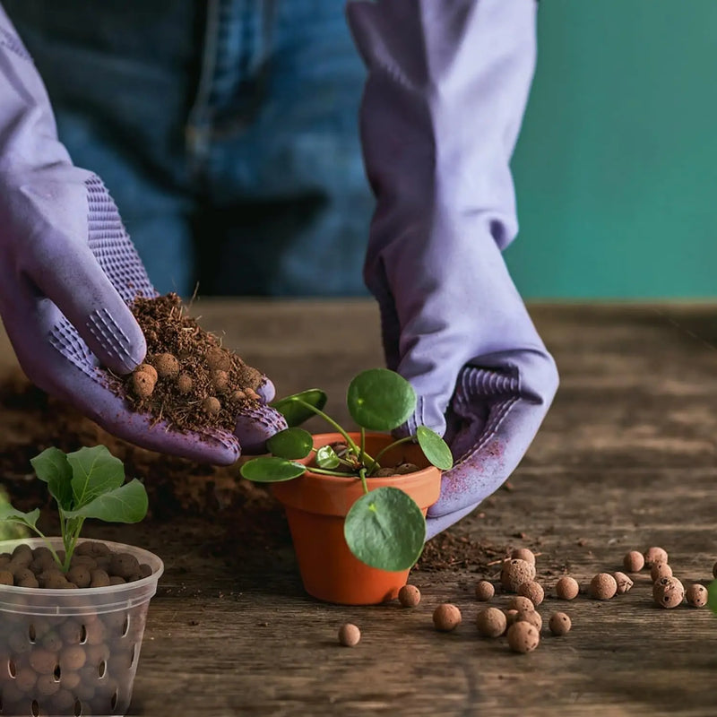 2L/1L Organic clay balls, Flower Substrate Drainage Expanded Clay, Hydroponic Gardening plant pot, Orchids, Drainage Aquaponic