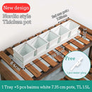 Meshpot Succulent Pot Set Cactus Pot Planter Good Air System Breathable Beyond Ceramic Planter Plastic Windowsill Flower Pot