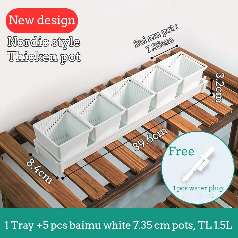 Meshpot Succulent Pot Set Cactus Pot Planter Good Air System Breathable Beyond Ceramic Planter Plastic Windowsill Flower Pot