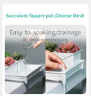 Meshpot Succulent Pot Set Cactus Pot Planter Good Air System Breathable Beyond Ceramic Planter Plastic Windowsill Flower Pot
