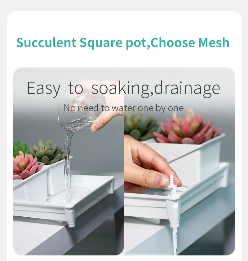 Meshpot Succulent Pot Set Cactus Pot Planter Good Air System Breathable Beyond Ceramic Planter Plastic Windowsill Flower Pot