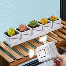 Meshpot Succulent Pot Set Cactus Pot Planter Good Air System Breathable Beyond Ceramic Planter Plastic Windowsill Flower Pot