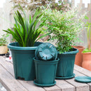 2Pcs Green Plant Flowerpot Rose Breathable Plastic Succulent Flower Pot Tray Potted Culture Nursing Outdoor Garden Container