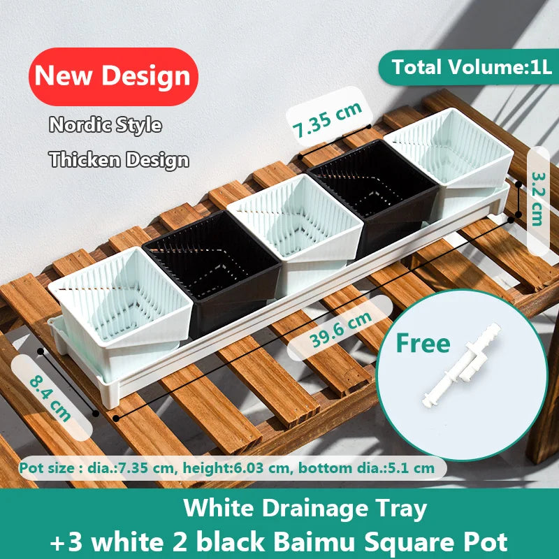 Meshpot Succulent Pot Set Cactus Pot Planter Good Air System Breathable Beyond Ceramic Planter Plastic Windowsill Flower Pot