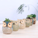 European Owl Animal Thumb Small Flower Pot Creative Succulent Plant Pot Personality Ceramic Crafts Office Home Decoration