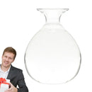Avocado Hydroponic Vase Seed Cultivation Containers For Avocado Pits Vase For Transparent High Borosilicate Glassware