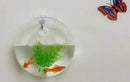 2022 New Hanging Flower Pot Glass Ball Vase Terrarium Wall Fish Tank Aquarium Container Home Decoration 10cm 12cm 15cm