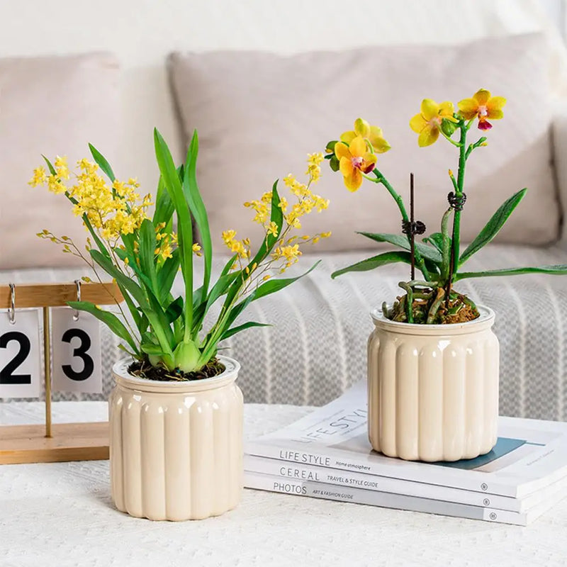 NEW High-end Hydroponic Plants Pot Self Watering Flowerpot Indoor Mini Succulent Planter Tabletop Vase Self-watering Plastic Pot