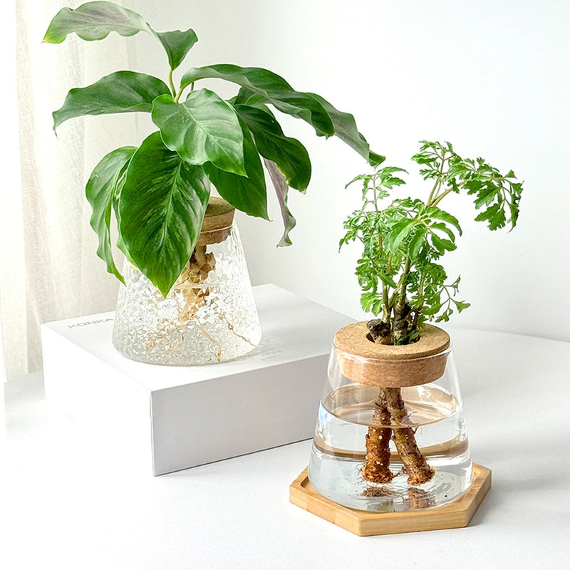 Glass Small Flower Pots for Plants Hydroponics Plant Pots Transparent Flower Vase With Tray Office Home Decoration Accessories