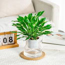 Transparent Plastic Flower Vase Self Watering Plant Pot Double-layer Automatic Lazy Potted Hydroponic Pot Garden Home Dector