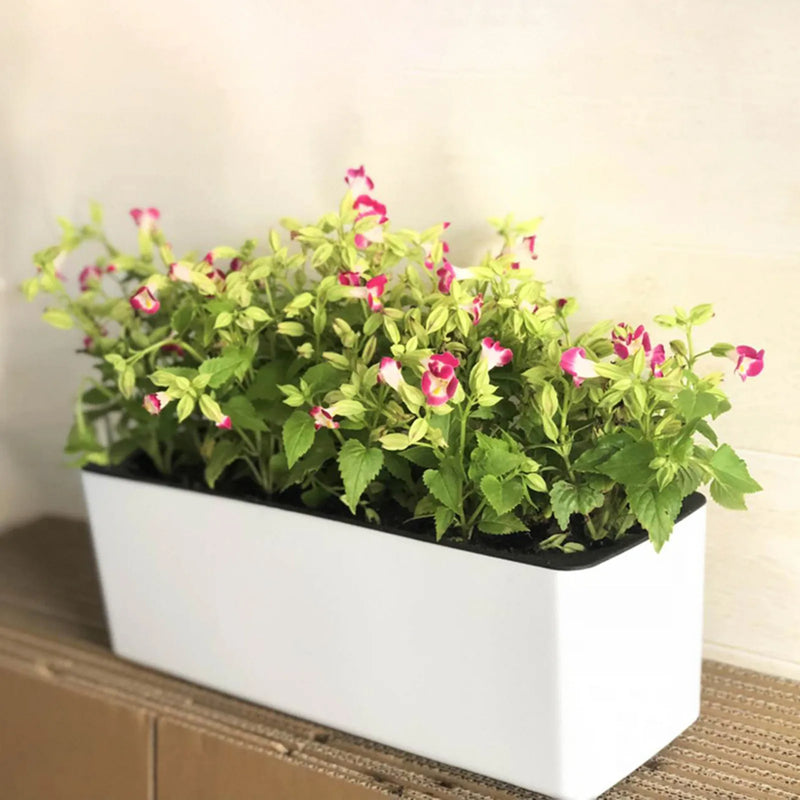 Self Watering Planter Flower Pot with Water Level Indicator Rectangular Large Bonsai Planting Container for Home Garden Office
