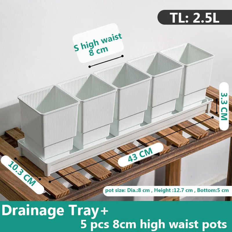 Meshpot Succulent Pot Set Cactus Pot Planter Good Air System Breathable Beyond Ceramic Planter Plastic Windowsill Flower Pot