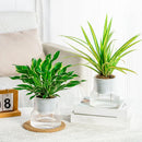 Transparent Plastic Flower Vase Self Watering Plant Pot Double-layer Automatic Lazy Potted Hydroponic Pot Garden Home Dector