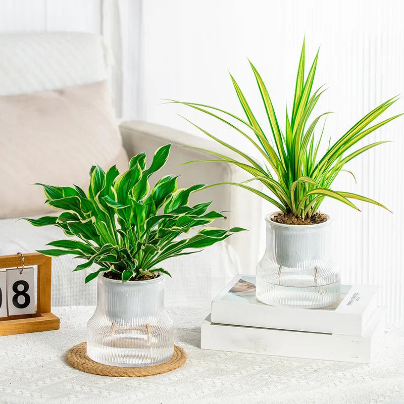 Transparent Plastic Flower Vase Self Watering Plant Pot Double-layer Automatic Lazy Potted Hydroponic Pot Garden Home Dector