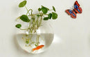 2022 New Hanging Flower Pot Glass Ball Vase Terrarium Wall Fish Tank Aquarium Container Home Decoration 10cm 12cm 15cm