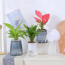 Self Watering Plant Pot Transparent Plastic Flower Vase Double-layer Automatic Lazy Potted Hydroponic Pot Garden Home Decoration