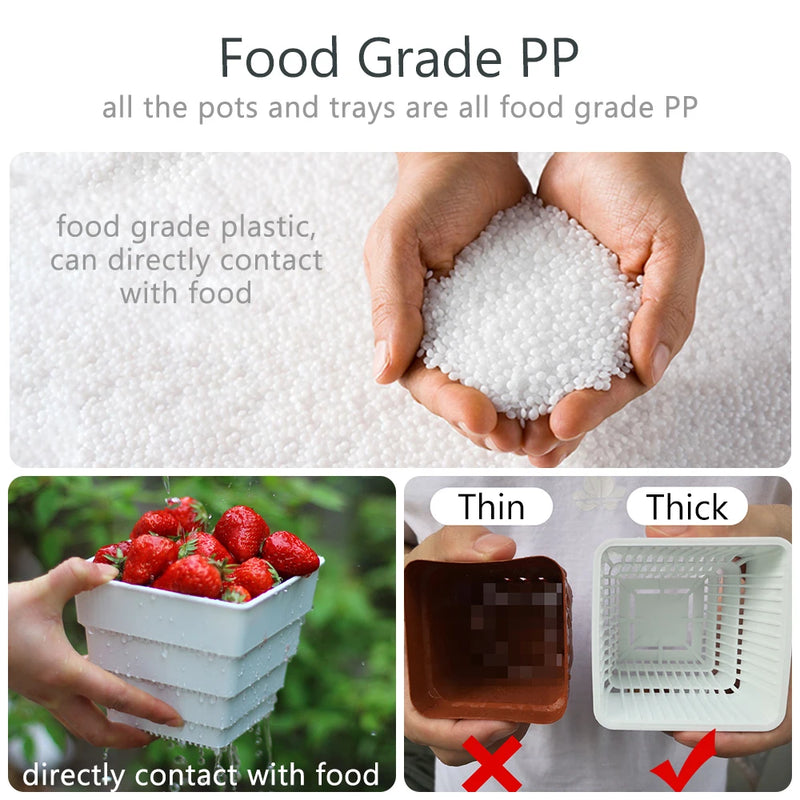 Meshpot Succulent Pot Set Cactus Pot Planter Good Air System Breathable Beyond Ceramic Planter Plastic Windowsill Flower Pot