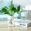 Mini Hydroponic Flower Pot Home Vase Decor Transparent Imitation Glass Soilless Plant Pots Green Plants Pot For Home Decoration
