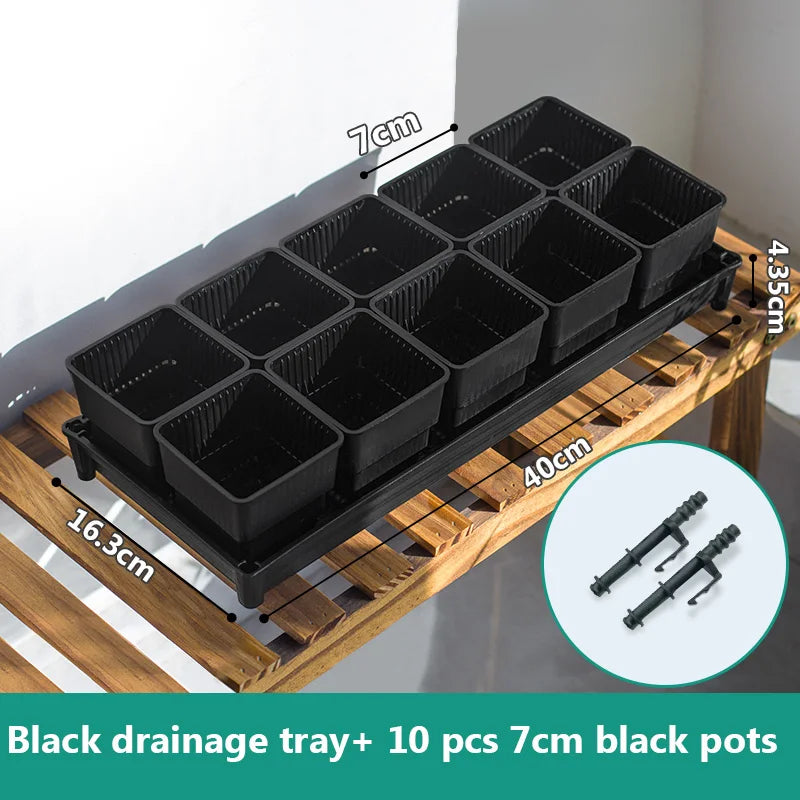 Meshpot Succulent Pot Set Cactus Pot Planter Good Air System Breathable Beyond Ceramic Planter Plastic Windowsill Flower Pot