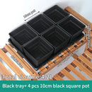 Meshpot Succulent Pot Set Cactus Pot Planter Good Air System Breathable Beyond Ceramic Planter Plastic Windowsill Flower Pot