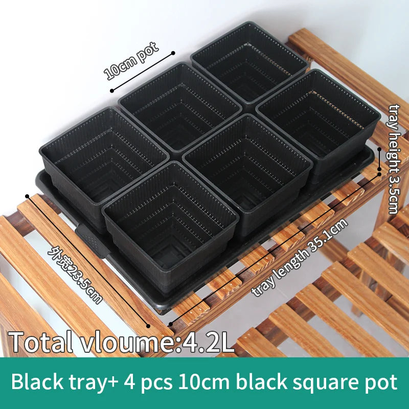 Meshpot Succulent Pot Set Cactus Pot Planter Good Air System Breathable Beyond Ceramic Planter Plastic Windowsill Flower Pot