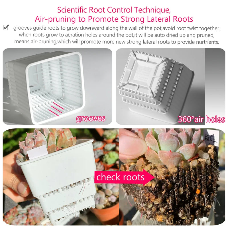 Meshpot Succulent Pot Set Cactus Pot Planter Good Air System Breathable Beyond Ceramic Planter Plastic Windowsill Flower Pot