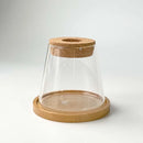 Glass Small Flower Pots for Plants Hydroponics Plant Pots Transparent Flower Vase With Tray Office Home Decoration Accessories