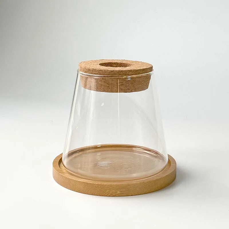 Glass Small Flower Pots for Plants Hydroponics Plant Pots Transparent Flower Vase With Tray Office Home Decoration Accessories