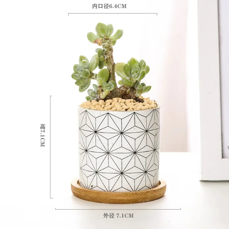 Nordic Geometric Pattern Ceramic Succulent Pot Straight Simple Black and White Home Decoration Succulent Small Potted Plant