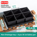 Meshpot Succulent Pot Set Cactus Pot Planter Good Air System Breathable Beyond Ceramic Planter Plastic Windowsill Flower Pot