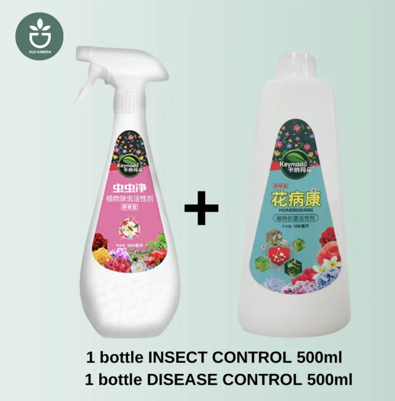 Creative Decorative Pot Simple Round Retro Desktop Cement Flower Pot Living Room Green Plant Pottery Imitation Vine Weaving