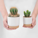 Succulent Plant Pot Double-layer Succulent Green Dill  Round Double Layer Small Green Plant Flowerpot Succulent Small Flower Pot