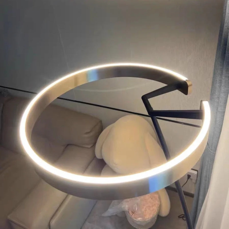 Nordic circular fishing floor lamp, modern LED art lamp, living room, sofa, home decoration floor lamp