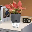 1/2pcs Self Watering Flower Pots Automatic Water-Absorbing Flowerpot Transparent Double Layer Plastic Planter Home Office Decor