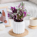 NEW High-end Hydroponic Plants Pot Self Watering Flowerpot Indoor Mini Succulent Planter Tabletop Vase Self-watering Plastic Pot