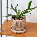 Creative Decorative Pot Simple Round Retro Desktop Cement Flower Pot Living Room Green Plant Pottery Imitation Vine Weaving