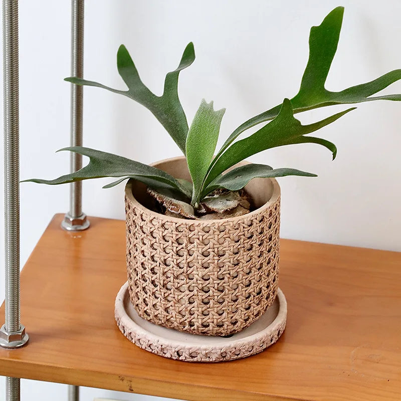 Creative Decorative Pot Simple Round Retro Desktop Cement Flower Pot Living Room Green Plant Pottery Imitation Vine Weaving