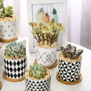 Nordic Geometric Pattern Ceramic Succulent Pot Straight Simple Black and White Home Decoration Succulent Small Potted Plant