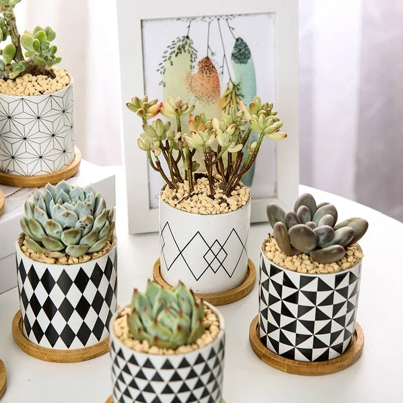 Nordic Geometric Pattern Ceramic Succulent Pot Straight Simple Black and White Home Decoration Succulent Small Potted Plant