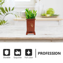 2 Sets Orchid Pot Large Flower Pots Decor Plant Planter Small Indoor Plants Nursery for Resin Spring Outdoor Potted