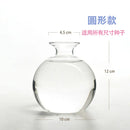 Avocado Hydroponic Vase Seed Cultivation Containers For Avocado Pits Vase For Transparent High Borosilicate Glassware