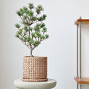 Creative Decorative Pot Simple Round Retro Desktop Cement Flower Pot Living Room Green Plant Pottery Imitation Vine Weaving