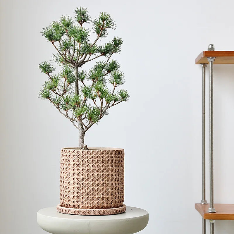 Creative Decorative Pot Simple Round Retro Desktop Cement Flower Pot Living Room Green Plant Pottery Imitation Vine Weaving