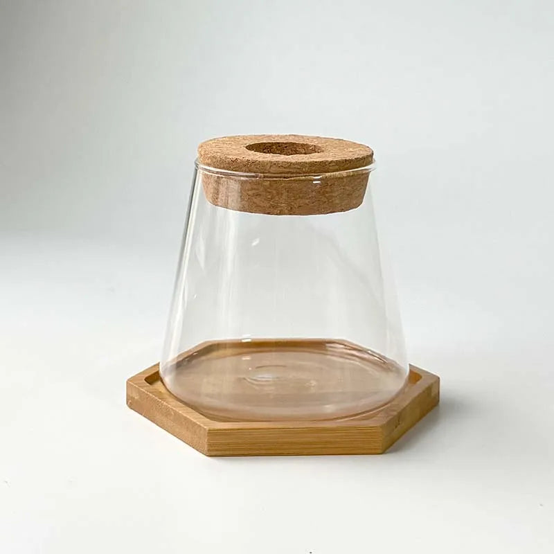 Glass Small Flower Pots for Plants Hydroponics Plant Pots Transparent Flower Vase With Tray Office Home Decoration Accessories