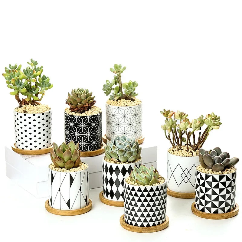 Nordic Geometric Pattern Ceramic Succulent Pot Straight Simple Black and White Home Decoration Succulent Small Potted Plant