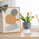 1/2pcs Self Watering Flower Pots Automatic Water-Absorbing Flowerpot Transparent Double Layer Plastic Planter Home Office Decor