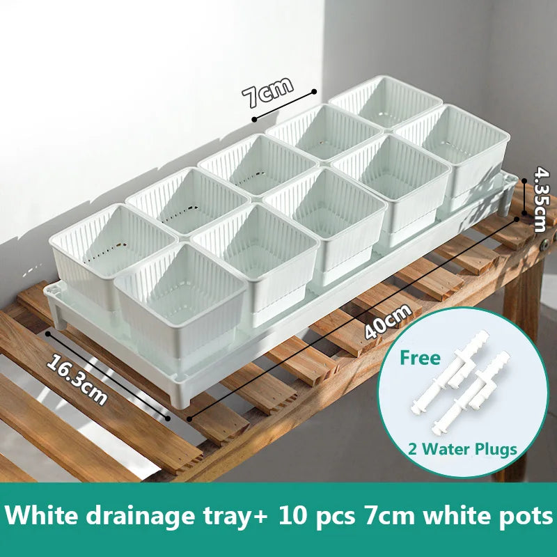 Meshpot Succulent Pot Set Cactus Pot Planter Good Air System Breathable Beyond Ceramic Planter Plastic Windowsill Flower Pot