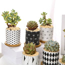 Nordic Geometric Pattern Ceramic Succulent Pot Straight Simple Black and White Home Decoration Succulent Small Potted Plant