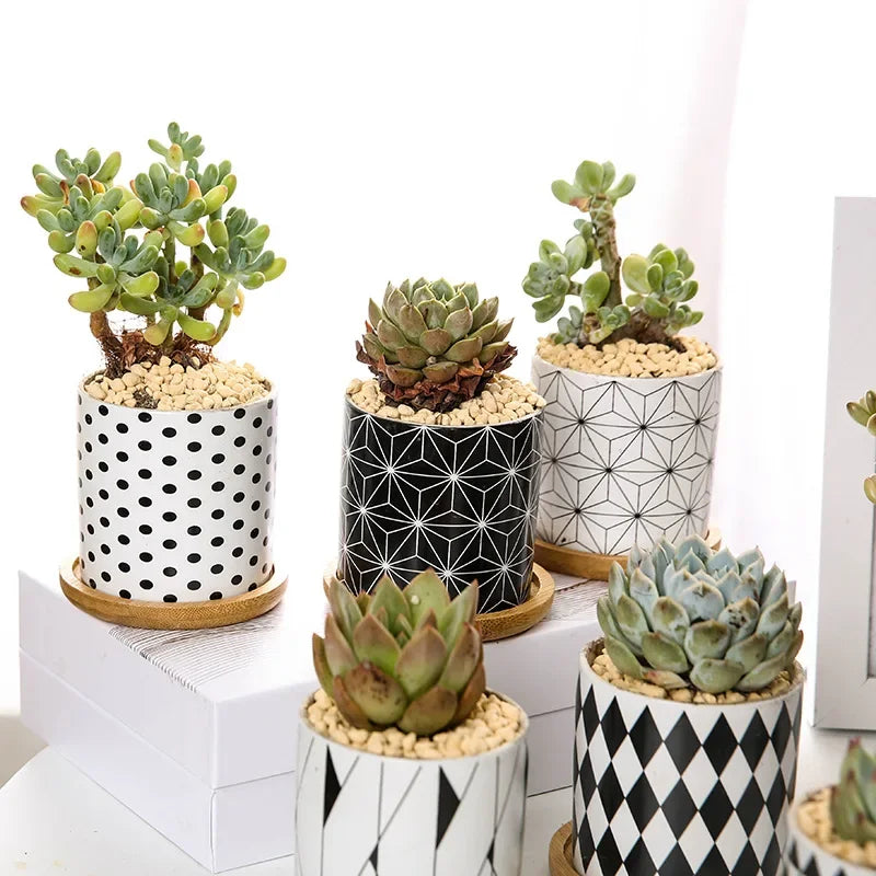 Nordic Geometric Pattern Ceramic Succulent Pot Straight Simple Black and White Home Decoration Succulent Small Potted Plant