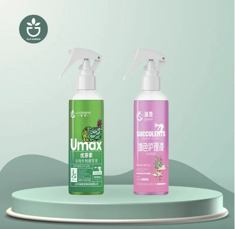 Creative Decorative Pot Simple Round Retro Desktop Cement Flower Pot Living Room Green Plant Pottery Imitation Vine Weaving